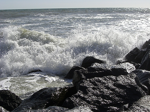 28 buhne schutz1.jpg